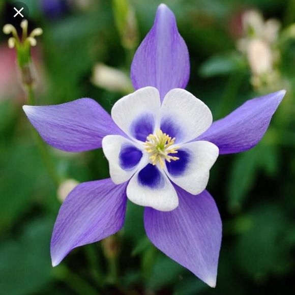 Meet your Posher, Audra - Picture 1 of 1